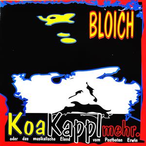 Ned der Gscheiter (feat. BLOICH)