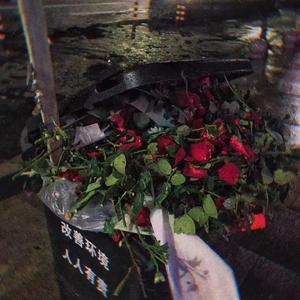 钢铁侠（feat-佳妮）