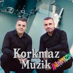 Anlayamazsın