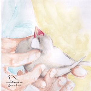 ケツようびのうた ☆ぶんちゃんのオマジナイ☆彡