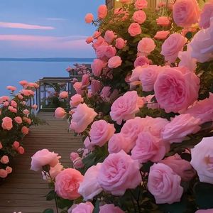 牵丝戏（二胡版）