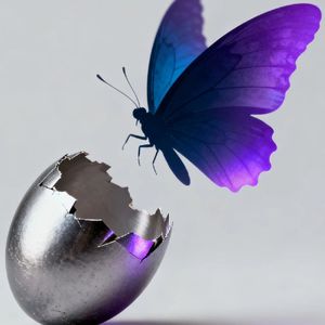 蜕变（Rebirth Freestyle)