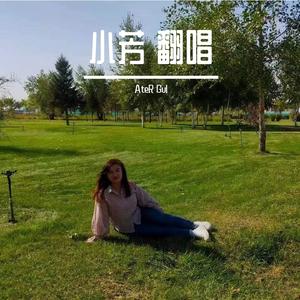 小芳 （翻唱）