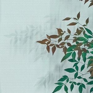 草原上升起不落的太阳 (静心纯音乐)