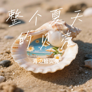 整个夏天的贝壳