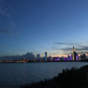 凋零 (prod.by Morrow x wustin)