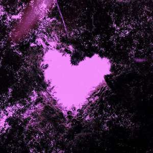 Free"wish"(Prod.DRP project)