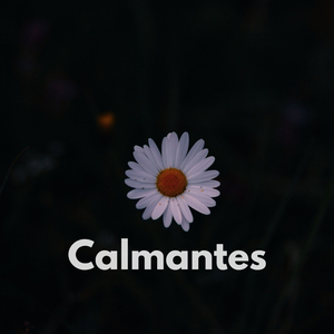 Calmantes