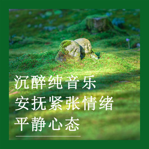 缓释疏解压力 (钢片琴)