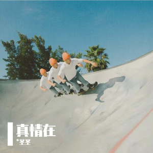 春风中风铃的轻快之舞