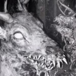 GHXST IN THE SHADXWS (feat. Dead Birds Can Fly)