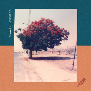 Morning Might Turn Things Around