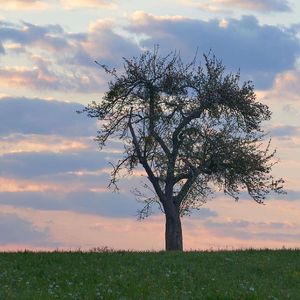 再没人像你笨得认真