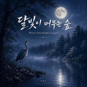 달빛이 머무는 숲 (Where Moonlight Lingers)