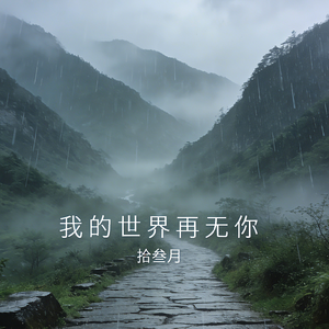 我的世界再无你