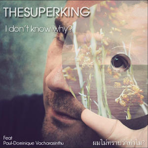 I Don't Know Why? (Feat. Paul-Dominique Vacharasinthu)