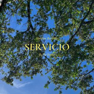 Servicio (Version Bachata)