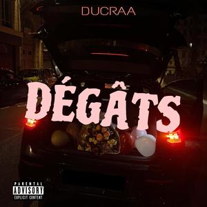 Dégâts