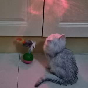 愚人节不搞笑_176.4khz_24bit.wav