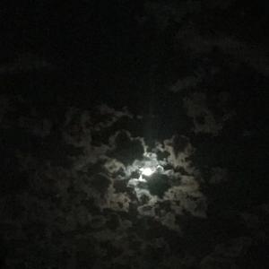 птичий бит-信（KillT203 remix）