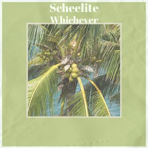 Momentum Somnolescent