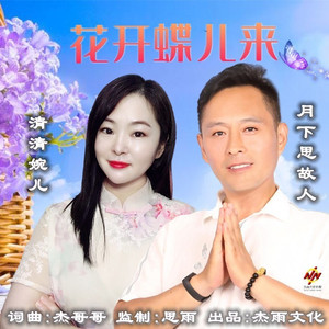 花开蝶儿来 (dj晓朋)
