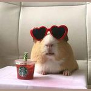 Let Me Love You (sped up)