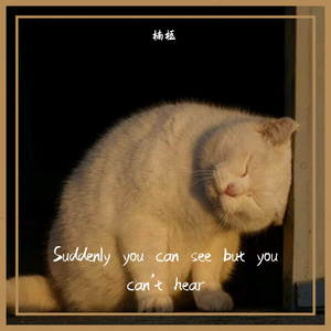 Suddenly you can see but you can't hear