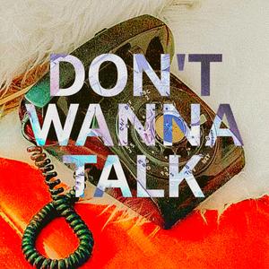 Don't Wanna Talk (feat. Cheyenne Died)