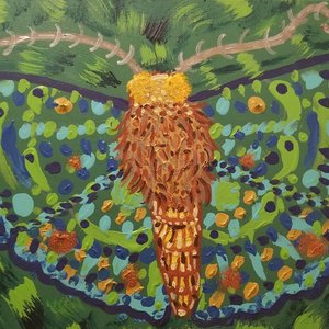 Wonderfully Elevated