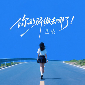 你的骄傲去哪了 (DJ魅)