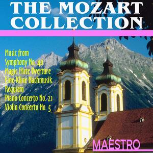 Piano Concerto No 21 , K 467: Andante