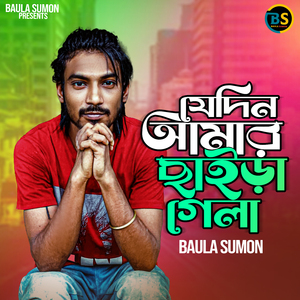 যেদিন আমায় ছাইড়া গেলা