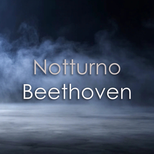 Notturno, Op. 42 (Arr. Kleinheinz & Beethoven after Serenade, Op. 8): III. Menuetto. Allegretto