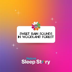 Thin Forest all Day Rain