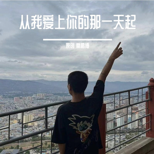 从我爱上你的那一天起