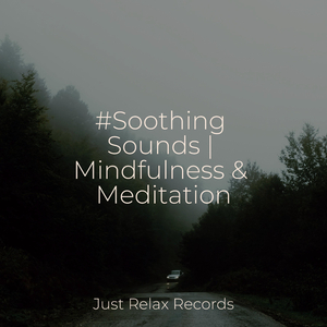 Turquoise Lullabies Unfold