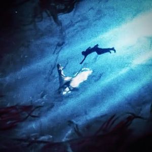 <i can always find u>