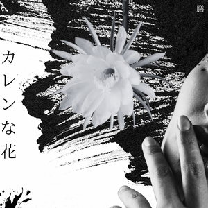 カレンな花