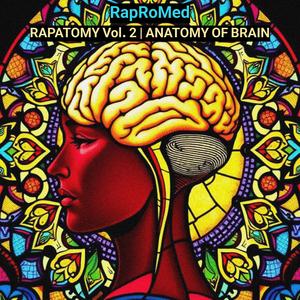 Anatomy of the Brainstem