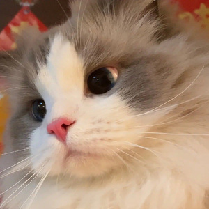 旅行的意义（live）