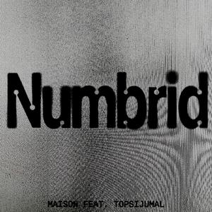Numbrid (feat. Tops)