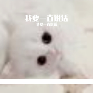 默默努力，惊艳岁月之光