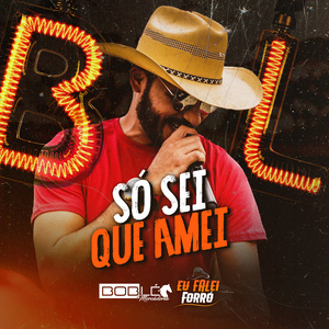 Só Sei Que Amei