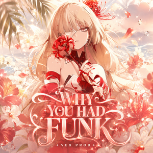 WHY YOU HAD FUNK