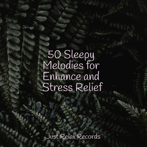 Echoes of the Faerie Glen