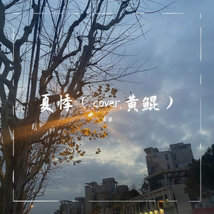 夏悸（cover.黄鲲）