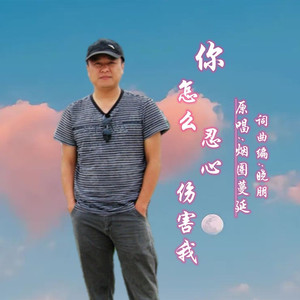 你怎么忍心伤害我DJ (男版)