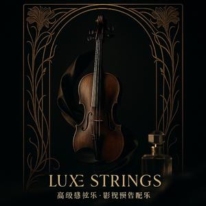 小提琴 高雅广告 塑造经典