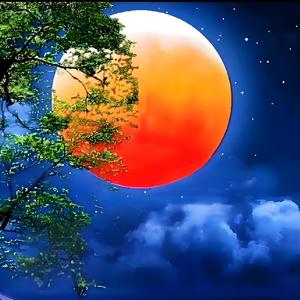 天边的月亮（翻自 徐子崴）